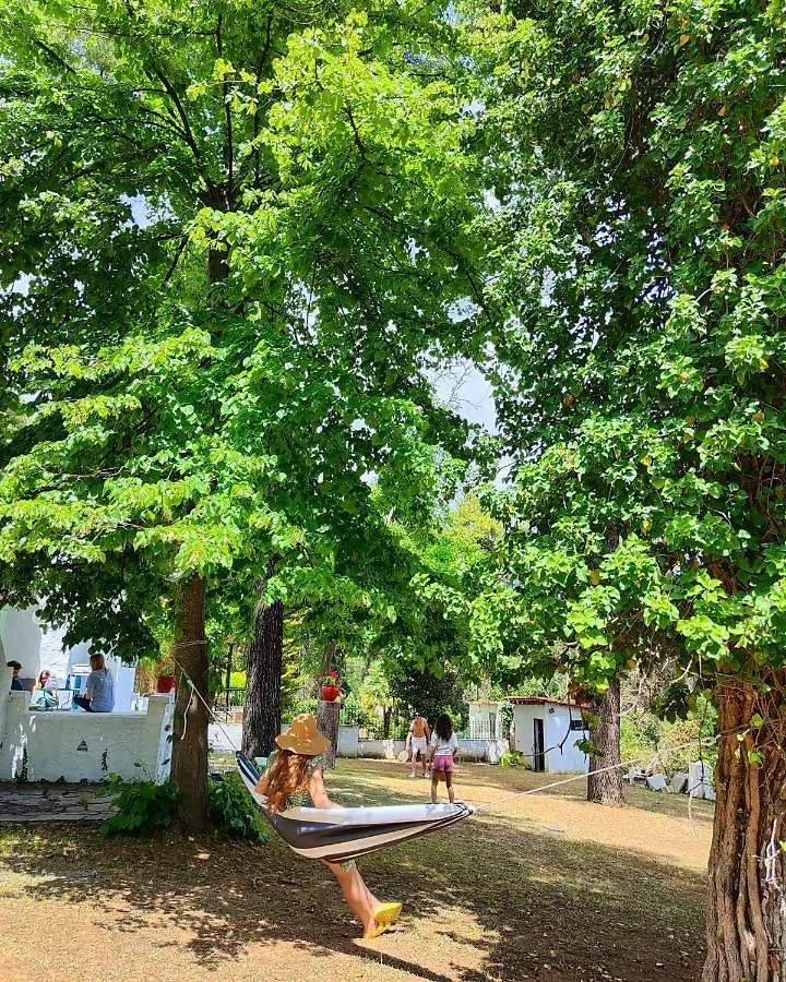 Villa Nefeli Sani  Greece